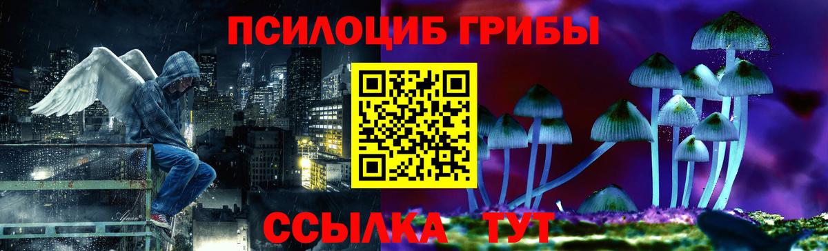где купить   Вход с VPN  Видное  Псилоцибиновые грибы Psilocybine cubensis 