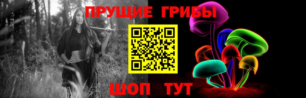 Галлюциногенные грибы Psilocybine cubensis Видное
